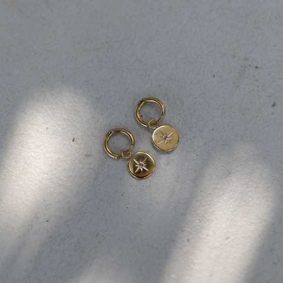 STAINLESS STEEL EARRING : 009