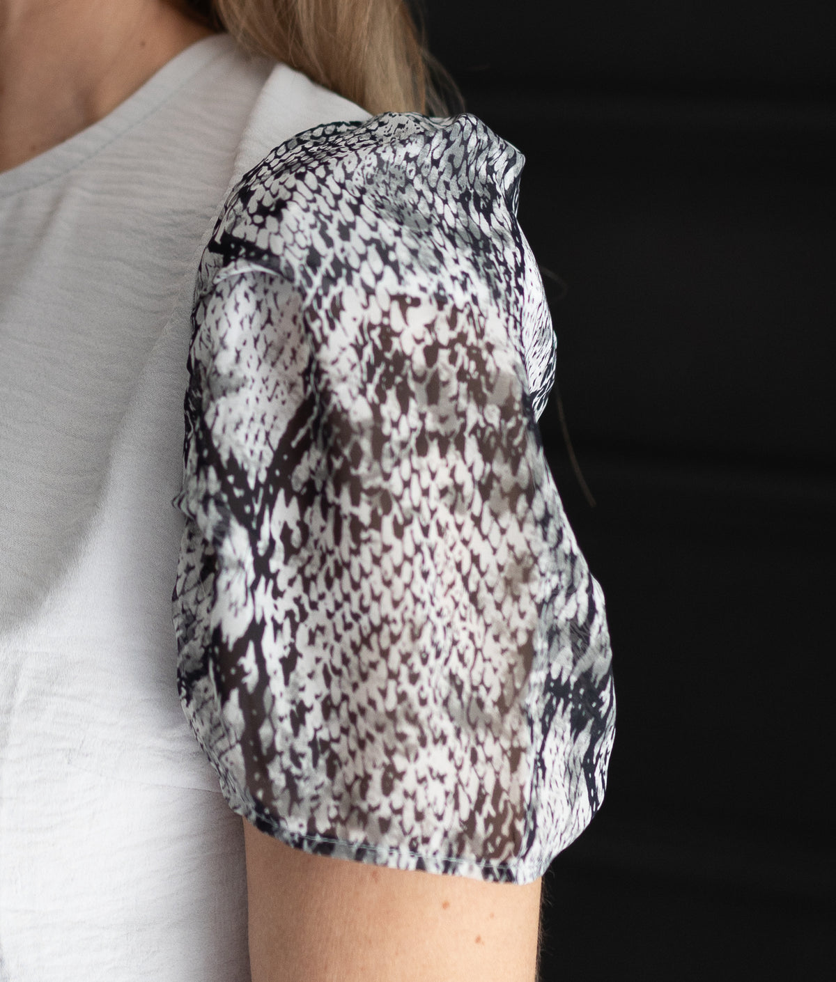 MARISOL : Snake