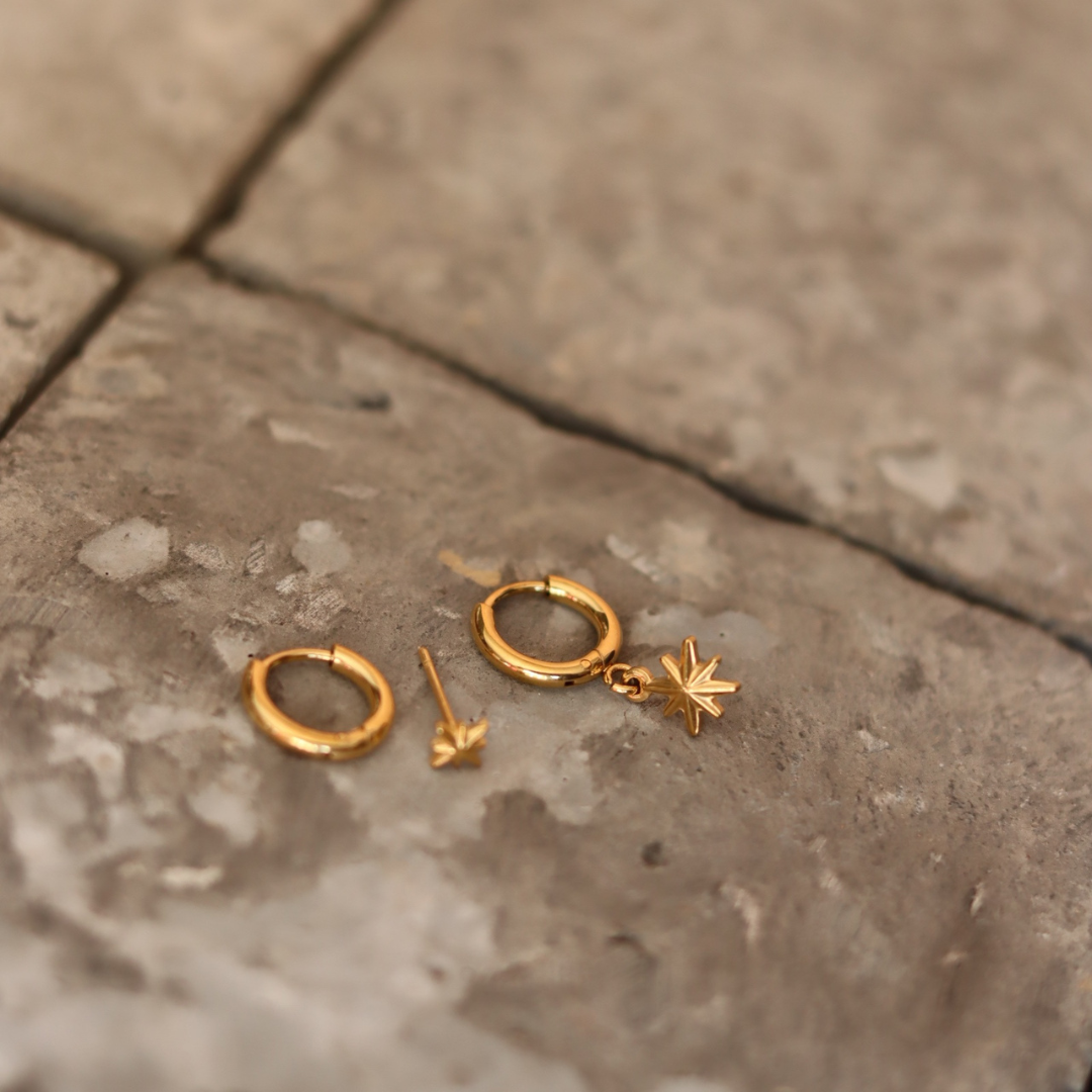 STAINLESS STEEL EARRING : 000