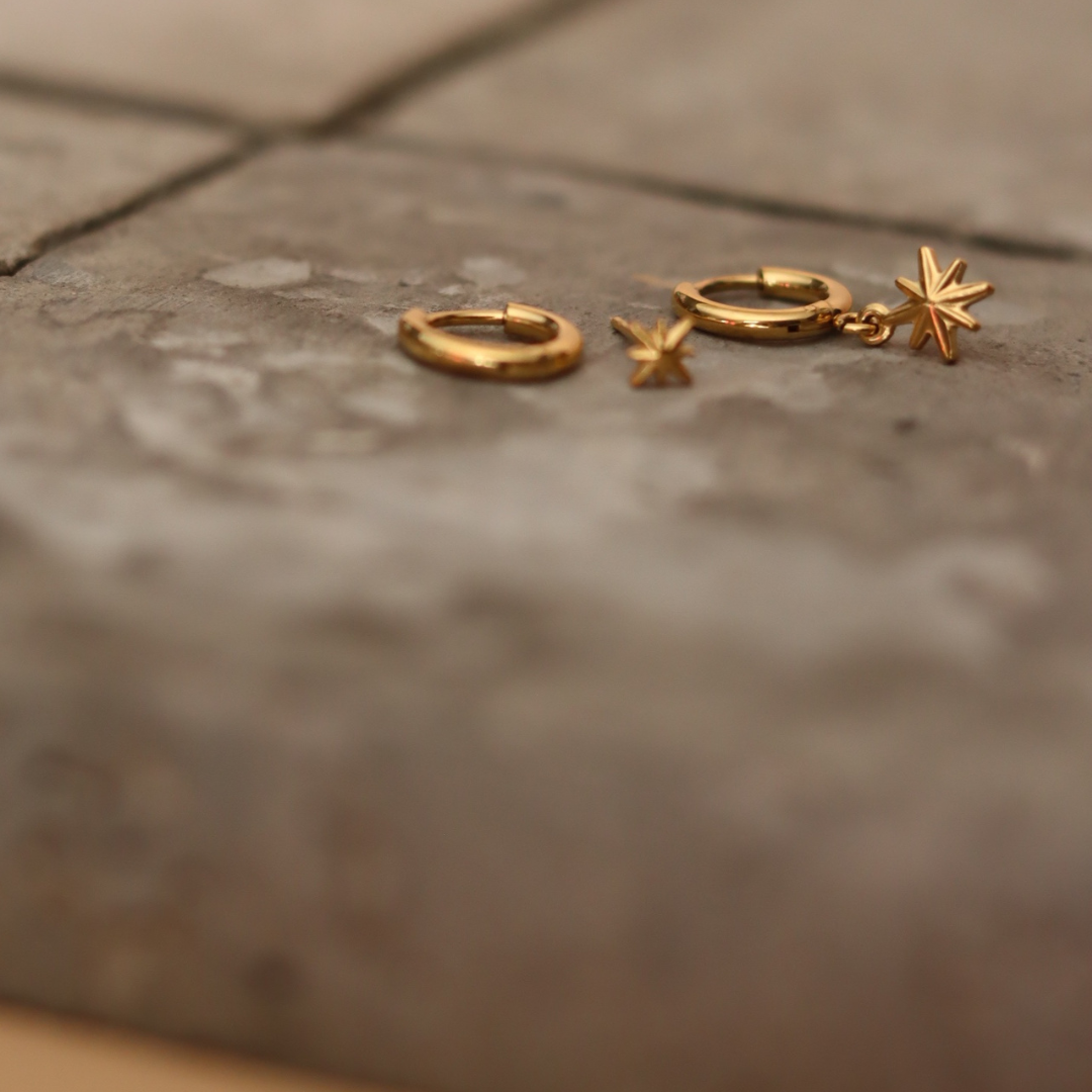 STAINLESS STEEL EARRING : 000