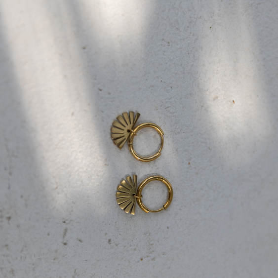 STAINLESS STEEL EARRING : 017