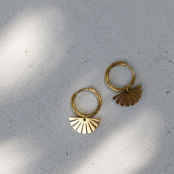 STAINLESS STEEL EARRING : 017