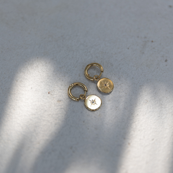 STAINLESS STEEL EARRING : 009