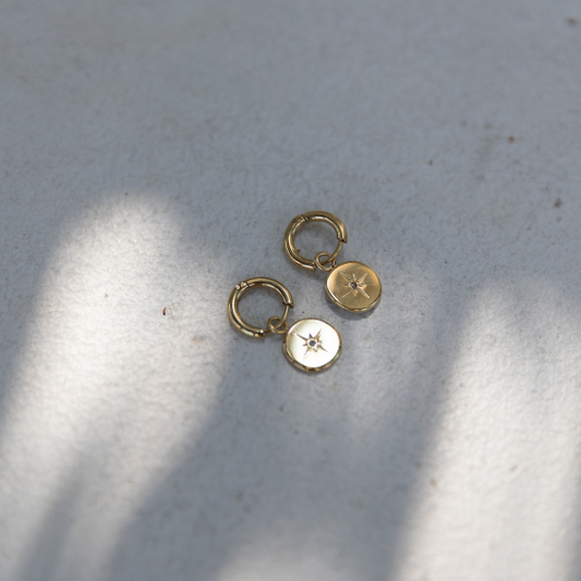STAINLESS STEEL EARRING : 009