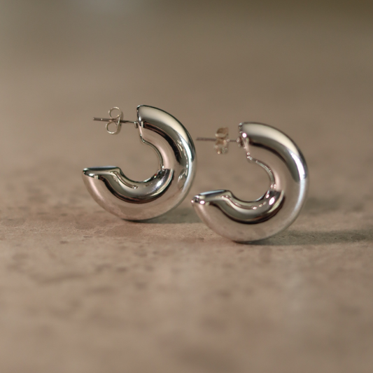 STAINLESS STEEL EARRING : 002