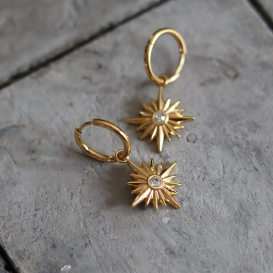 STAINLESS STEEL EARRING : 007