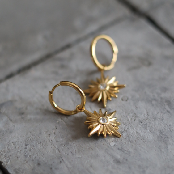STAINLESS STEEL EARRING : 007