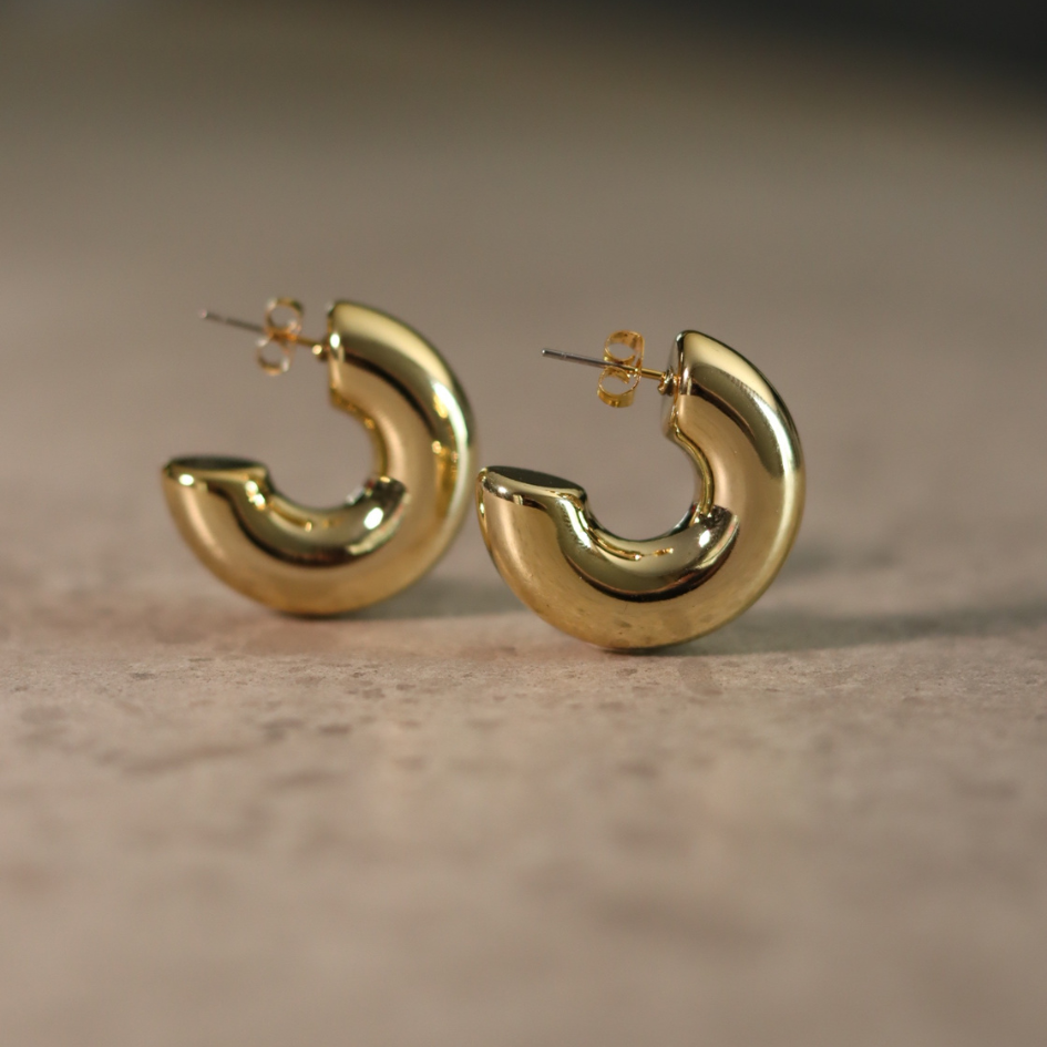 STAINLESS STEEL EARRING : 001