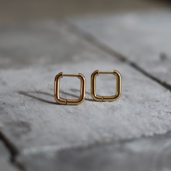 STAINLESS STEEL EARRING : 016