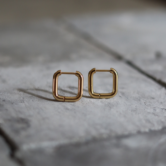STAINLESS STEEL EARRING : 016