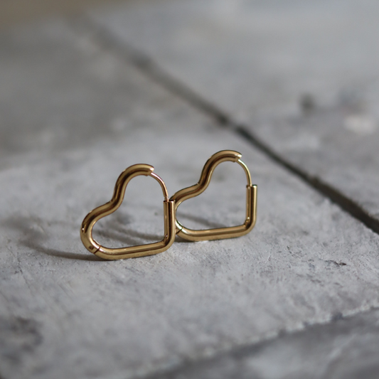 STAINLESS STEEL EARRING : 014