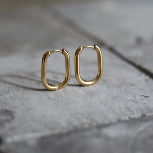 STAINLESS STEEL EARRING : 016