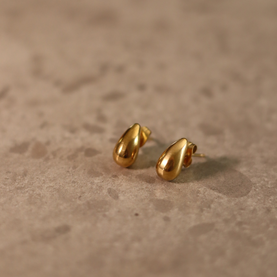 STAINLESS STEEL EARRING : 012