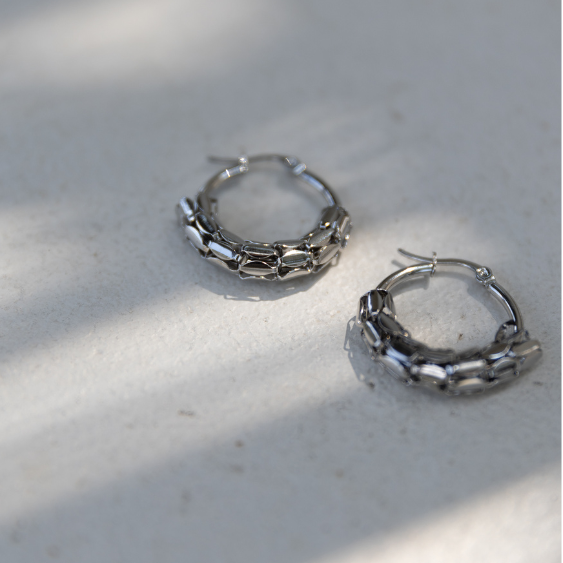 STAINLESS STEEL EARRING : 000