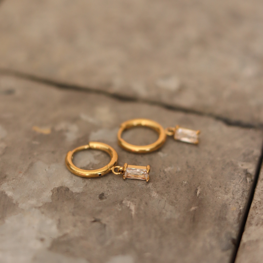 STAINLESS STEEL EARRING : 011