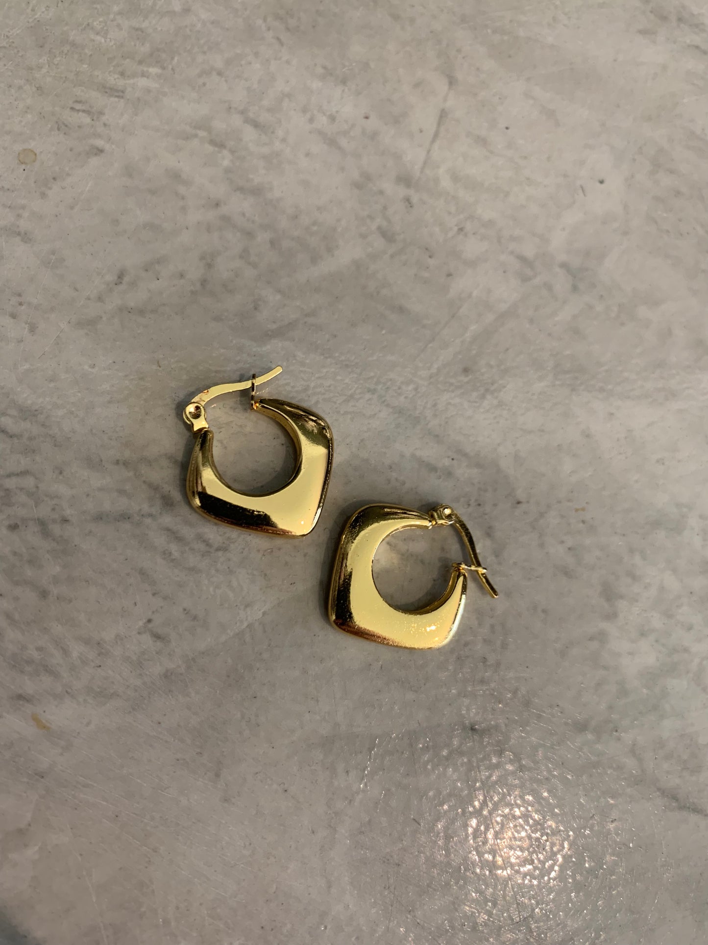 STAINLESS STEEL EARRING : 000