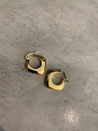 STAINLESS STEEL EARRING : 000