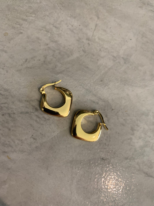 STAINLESS STEEL EARRING : 000