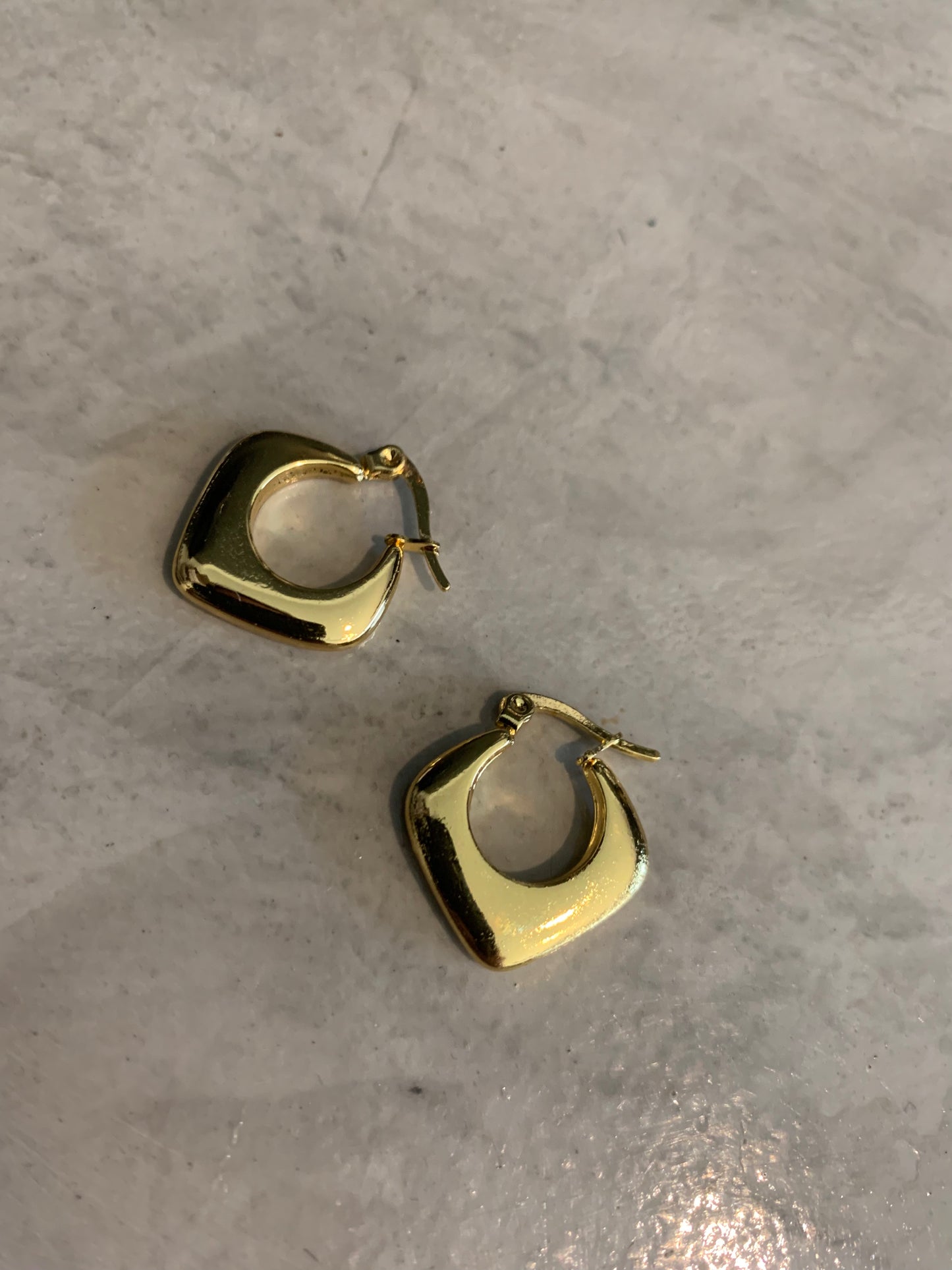 STAINLESS STEEL EARRING : 000